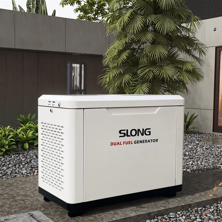 Dual Roj Lpg Generator Ntuj Roj Generator rau cov ntawv thov ua lag luam